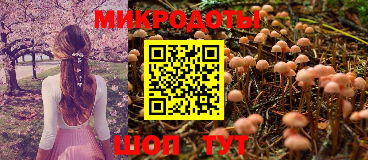 Гудермес  Галлюциногенные грибы мухоморы  где продают наркотики  Вход с VPN 